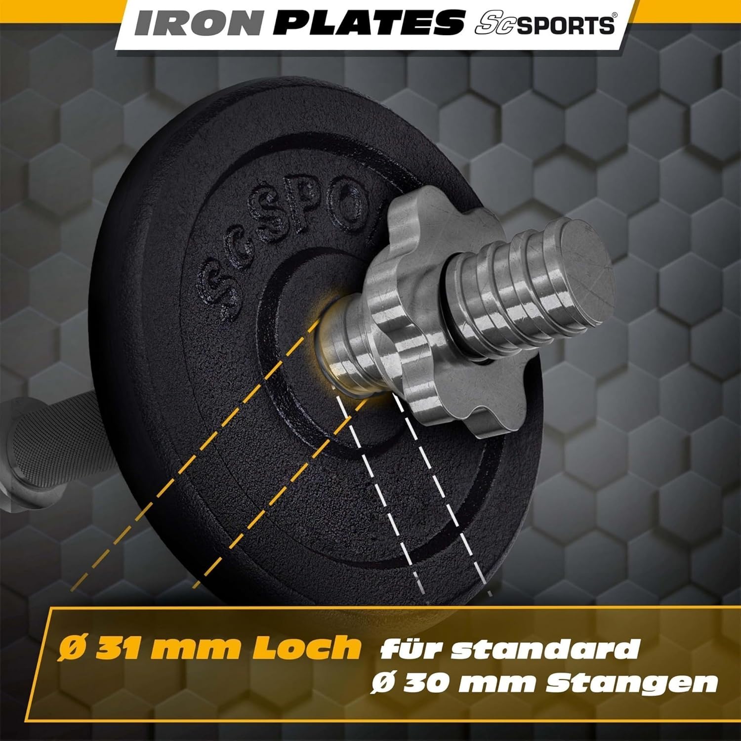 Hantelscheiben 30/31 mm Gusseisen 15 - 60 kg