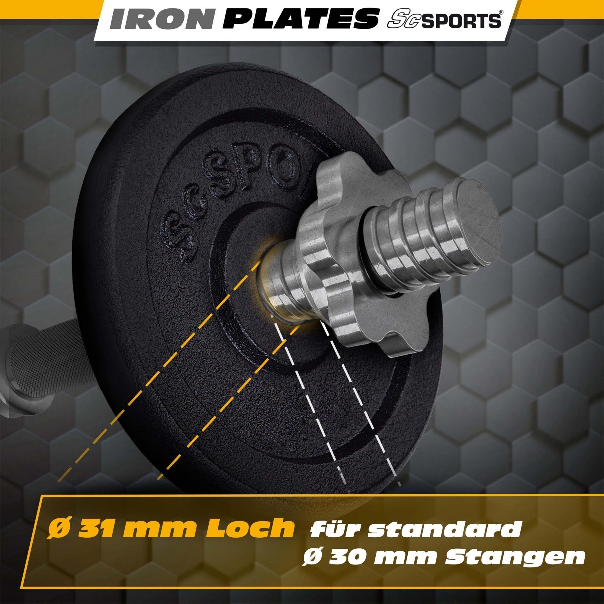 Hantelscheiben Gusseisen 30/31 mm 10 - 40 kg