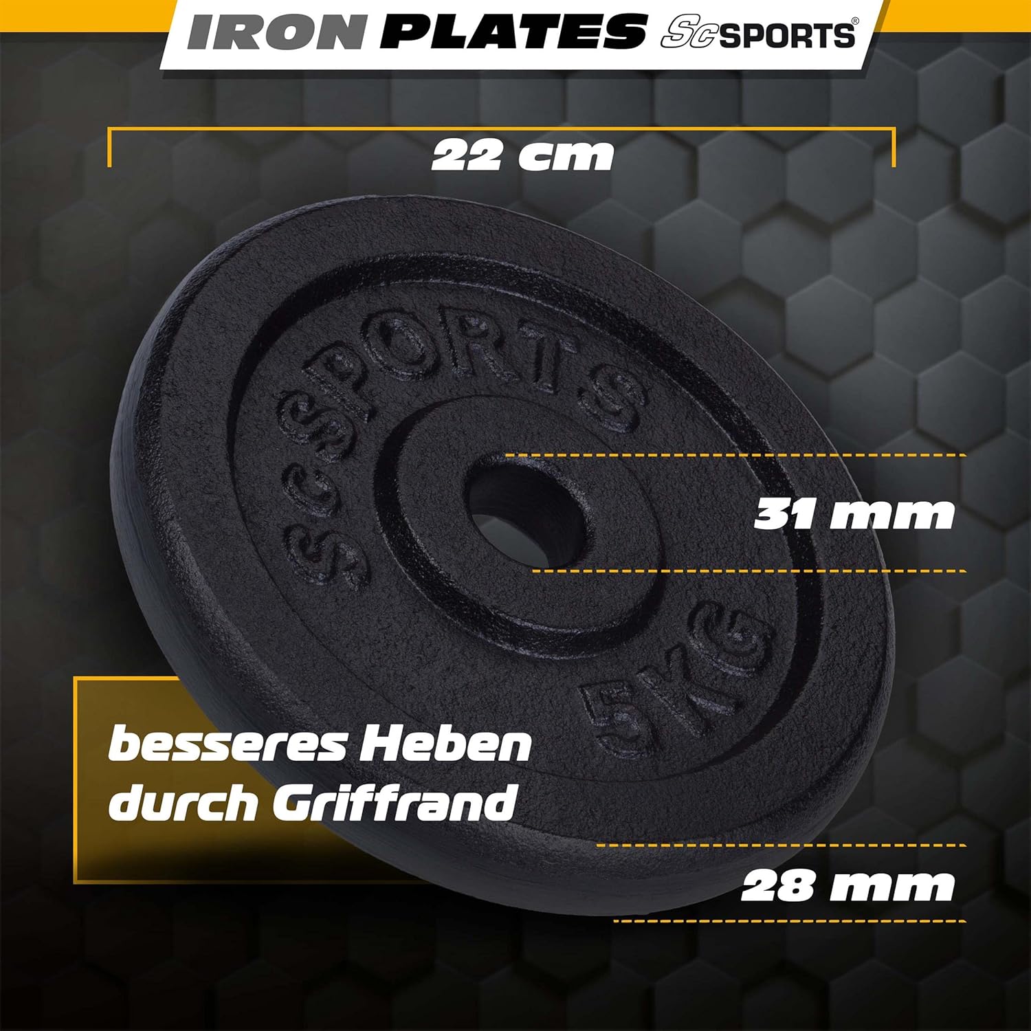 Hantelscheiben Gusseisen 30/31 mm 10 - 40 kg