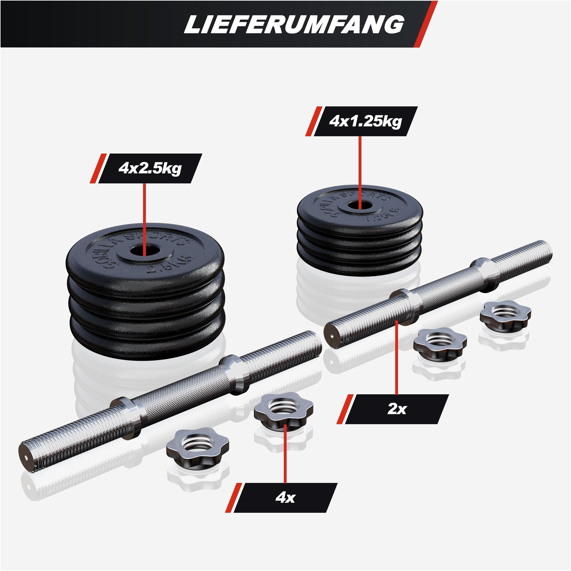 Kurzhantel Set 20 kg Gusseisen mit Koffer