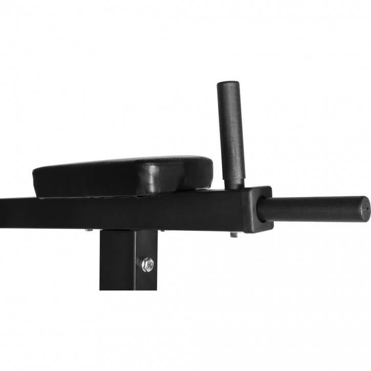 Multifunction Dip Station