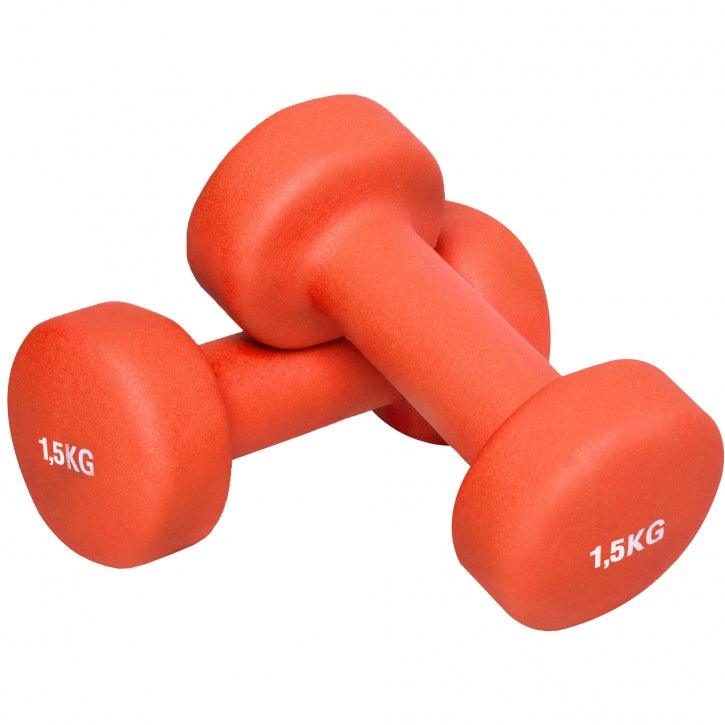 Gymnastikhanteln Set 10 kg mit Koffer
