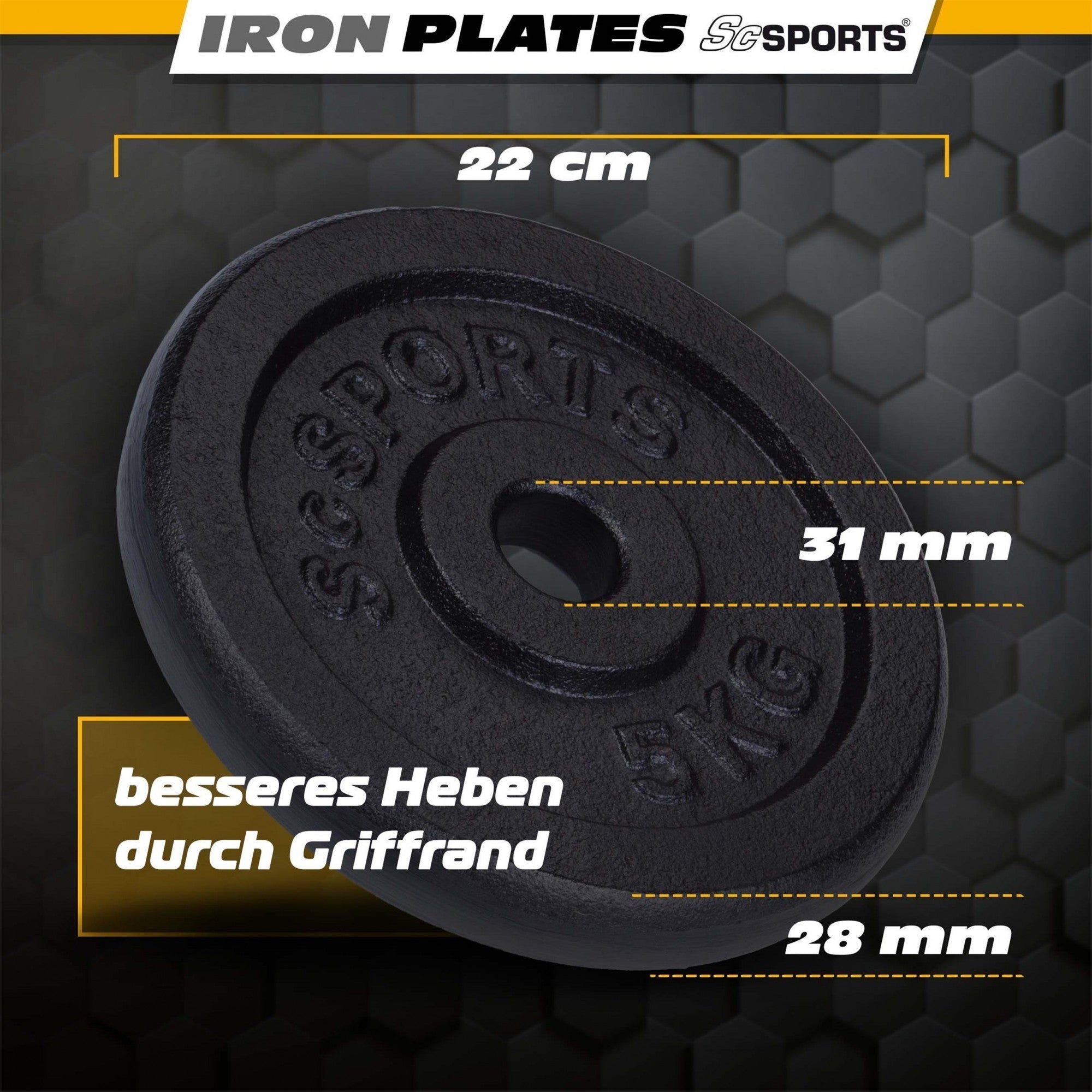 Hantelscheiben Gusseisen 30/31 mm 10 - 40 kg