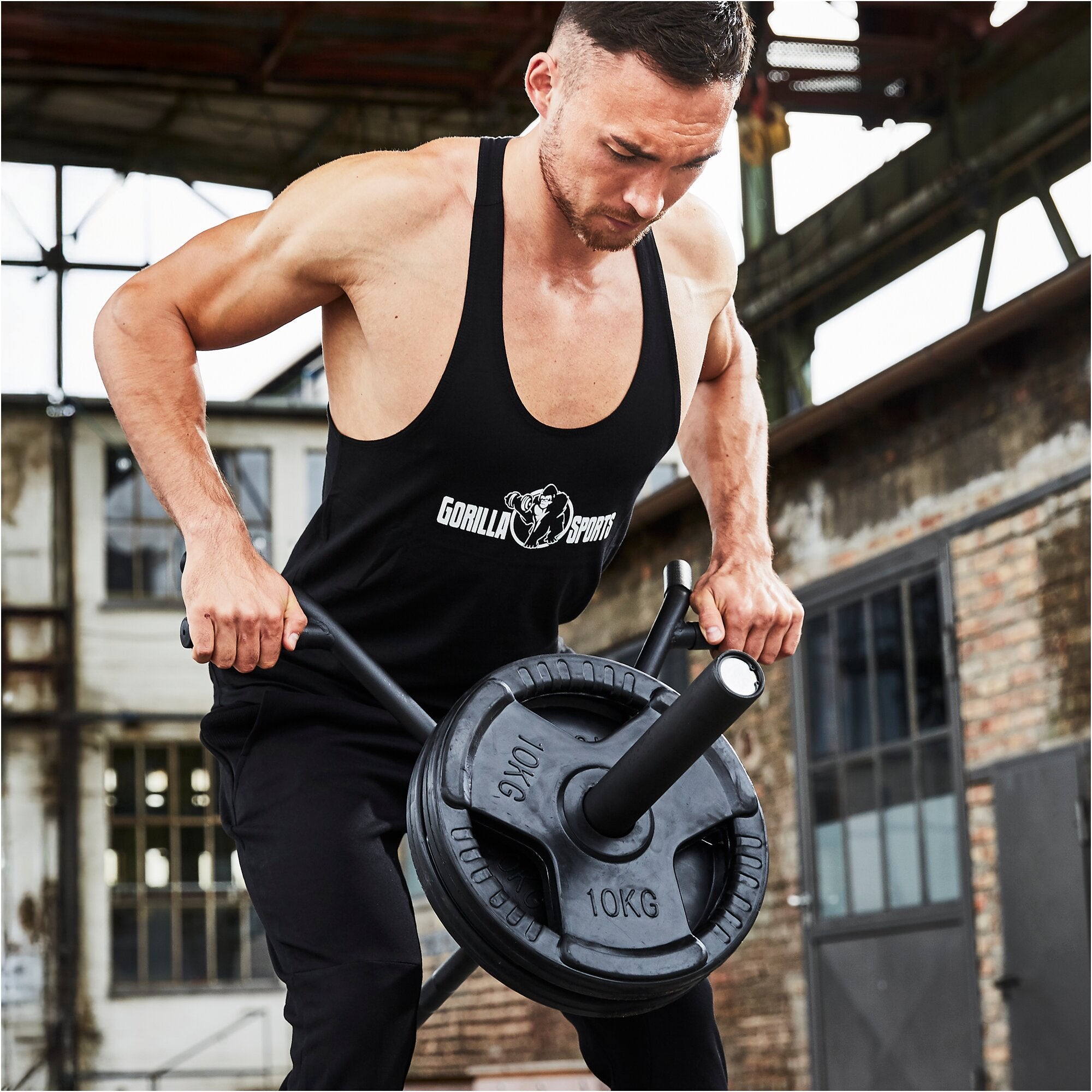 T-Bar Row Rudergriff