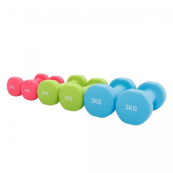 Aerobic Hantelkoffer 12 kg