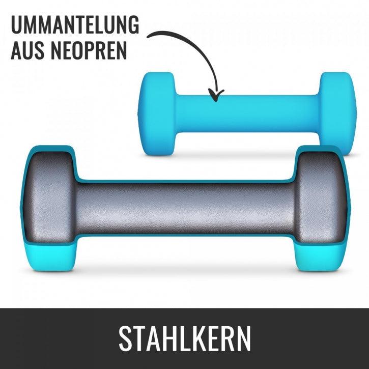 Aerobic Hantelkoffer 12 kg